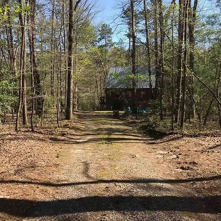 Cabin Fever On Cartecay River Ellijay Exterior foto