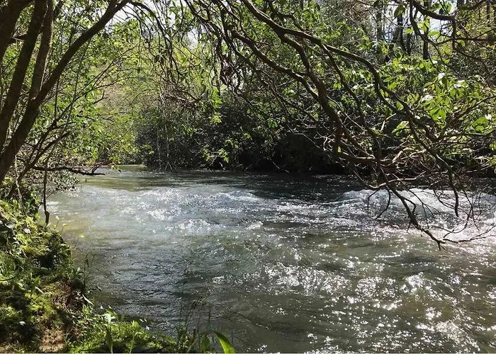 Cabin Fever On Cartecay River