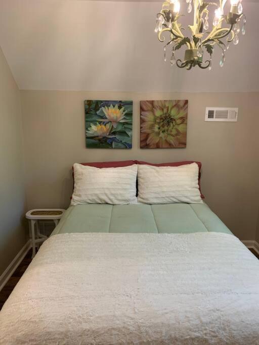 Holiday home Fever On Cartecay River *