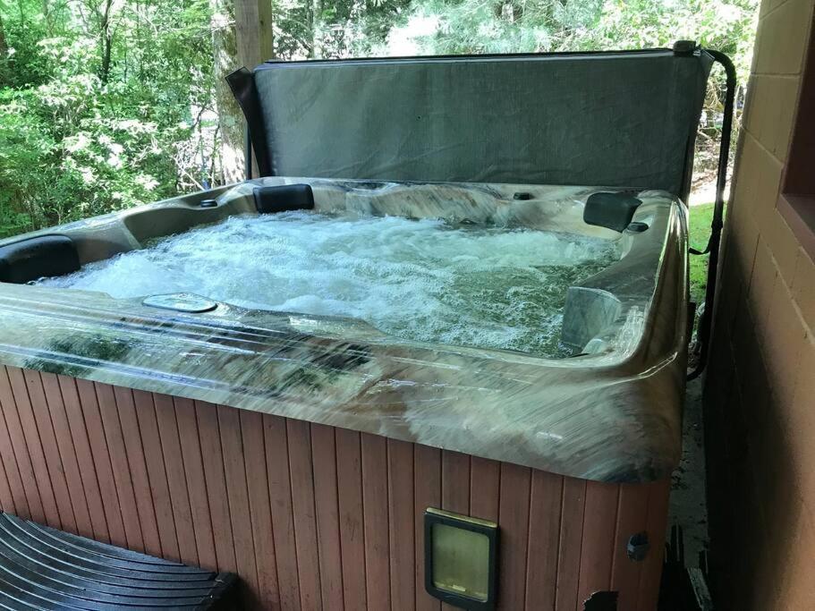 Fever On Cartecay River *