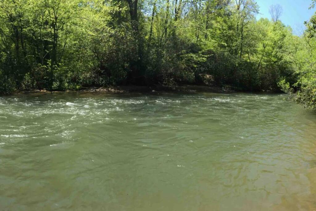 Fever On Cartecay River