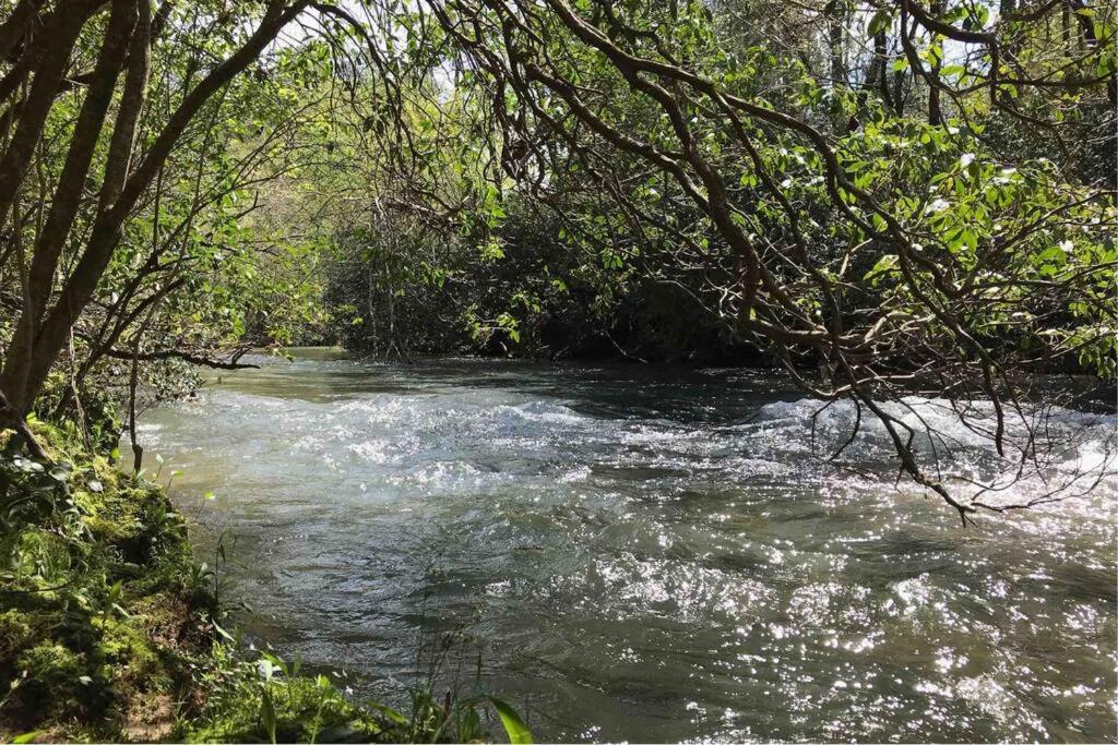 Fever On Cartecay River * Ellijay