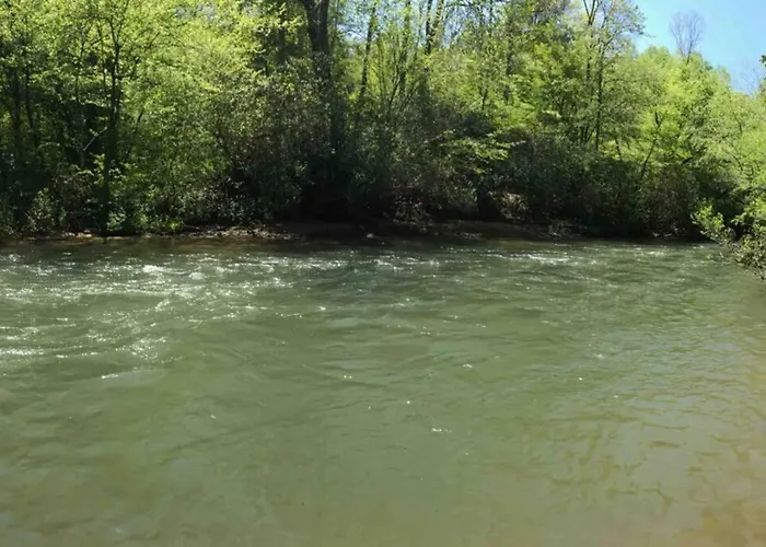 Cabin Fever On Cartecay River